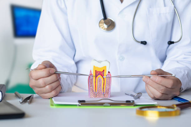 Best Emergency Broken Tooth Repair in Cowarts, AL